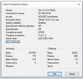 Citrix Receiver Version and Properties