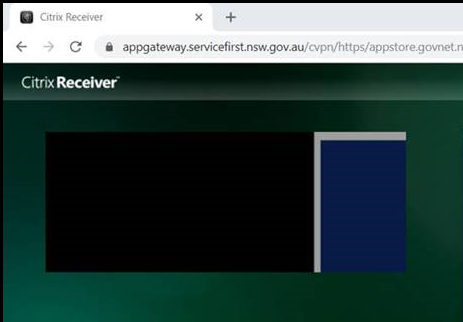 Citrix Profile Issue - Error loading applications
